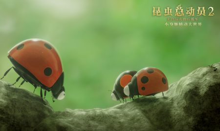 《微观小世界,昆虫总动员》 第一季