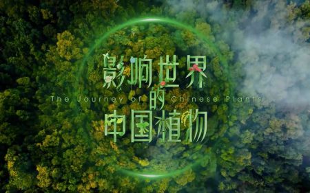 科普片《影响世界的中国植物》