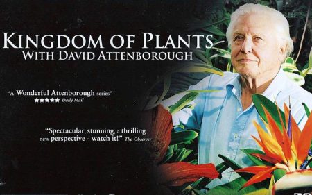 BBC科普纪录片《植物王国》