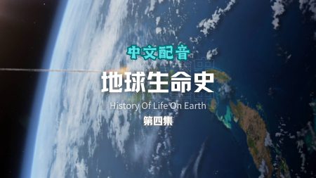 少儿科普视频《地球生命史》