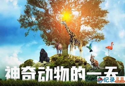 BBC科普片《神奇动物的一天》